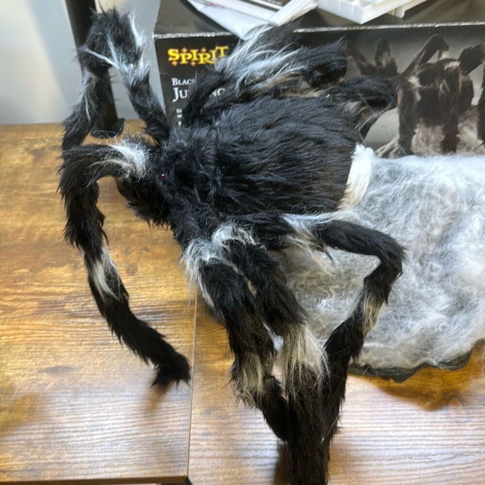 Spirit Halloween Black Jumping Spider 01116706 24” Decor USE ONLY DOESNT WORK - Picture 3 of 10